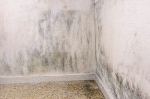 basement-waterproofing-bowie-300x199.jpg