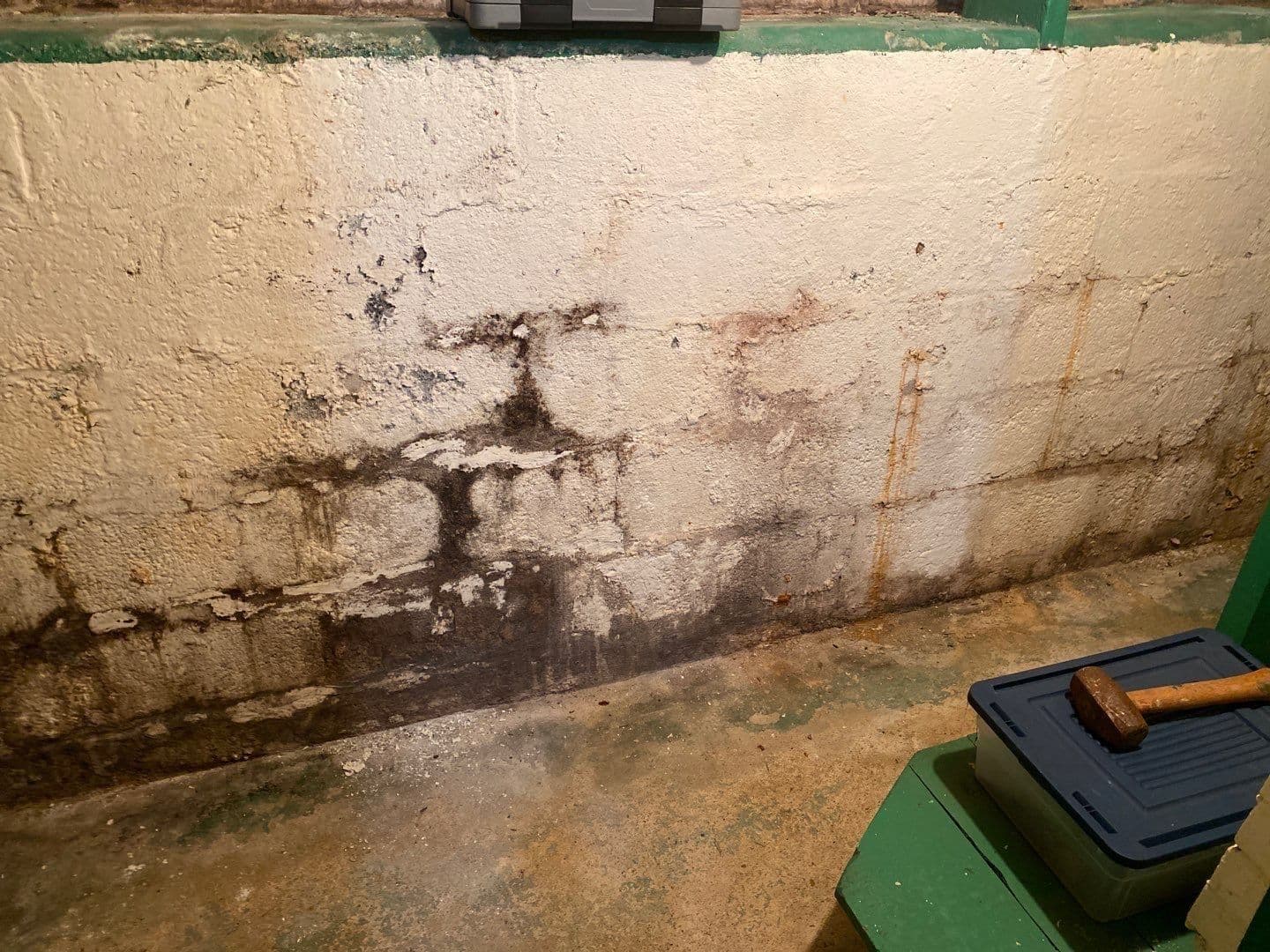 Basement before picture