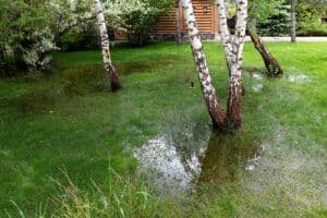 yard-drainage-annapolis-300x200.jpg